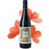 Domìni Veneti Pruviniano Valpolicella Ripasso Classico Superiore DOC 0,75l - 1ks