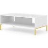 ARTBm Konferenčný stolík SURF Prevedenie: Biely mat / zlaté nohy