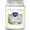 Aura Bispol Blooming Jasmine vonná sviečka 500g
