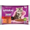 Whiskas Cat Junior Mäsový výber kura&hovädzie&jahňa&králik v šťave 4 x 85 g