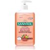 Sanytol dezinfekčné mydlo do kuchyne grapefruit & svieži citrón 250 ml
