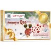 BARNY'S Koenzým Q10 dual 60mg 60cps