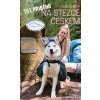 151 příběhů na Stezce Českem - Lucie Kutrová - online doručenie