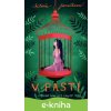 E-kniha V pasti - Klára Janečková