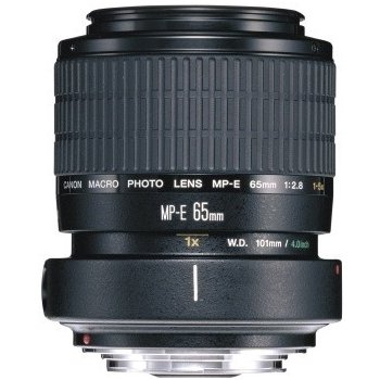 Canon MP-E 65mm f/2.8 Macro