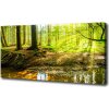 Foto obraz na plátne Slnečné lúče les 100x50 cm