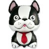 BP Fóliový balónik Bulldog čierny