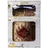 Disney Harry Potter Darčekový set (hrnček/kľúčenka)
