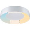 Paulmann | Paulmann 78947 - LED/23W IP44 Kúpeľňové stropné svietidlo CASCA 230V | W3484