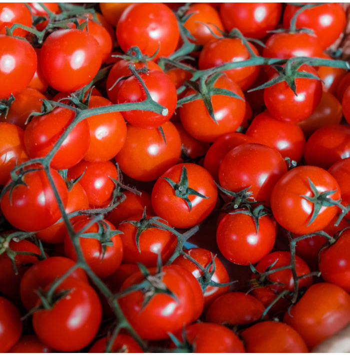 Paradajka Cherolla F1 - Solanum lycopersicum - semená paradajky - 5 ks