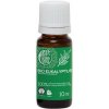 TIERRA VERDE Esenciálny olej Eukalyptus BIO 10 ml