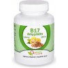 Naturalpharm Amygdalin Vitamin B17 35 mg tablety 200 ks