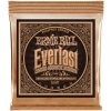 Ernie Ball 2548 Everlast Phosphor Bronze Light