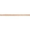 Ribesalbes EARTH3007 1ks