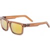 Slnečné okuliare s polarizačnými sklami PROGRESS ECLIPSE POL Hnedá