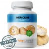 MycoMedica HERICIUM (extrakt), MycoMedica 90 kapsúl - dostupné 2 kusy