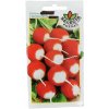 Redkvička červená s bielym koncom - 10g