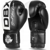 Boxerské rukavice DBX BUSHIDO B-2v20 14 oz