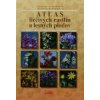 Osveta Atlas liečivých rastlín a lesných plodov