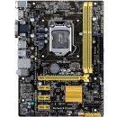 Asus H81M-PLUS