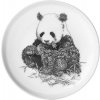 Porcelánový Talíř Marini Ferlazzo Panda velká 20 cm - Maxwell&Williams