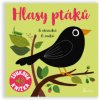 Hlasy ptáků