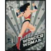 Zuty - Wonder woman hvězda IV, 40×50 cm, vypnuté plátno na rám (8596530191858)