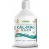 Swedish Nutra Cal Mag 500ml (Vápnik, horčík, zinok a vitamin D3 majú priaznivý vplyv na kvalitu kostí a zubov.)