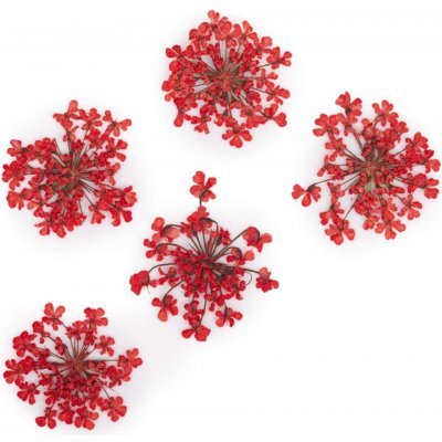 Starnails Sušené kvety na nechty - Red, 5 ks