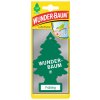 WUNDER-BAUM Frühling