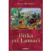 Bitka pri Lamači - Juraj Hradský