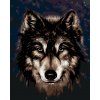 ZUTY Maľovanie podľa čísel - HLAVA HUSKYHO NA TMAVOM POZADÍ Rámovanie: bez rámu a bez vypnutia plátna, Rozmer: 80x100 cm