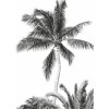 Komar Vliesová fototapeta Retro Palm 200 x 280 cm