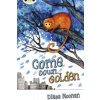 Bug Club Independent Fiction Year 3 Brown A Come Down, Golden - Noonan, Diana