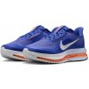 Pánske bežecké topánky Nike PEGASUS PREMIUM HQ2592-400 - EUR 42,5 | UK 8 | US 9