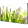 Obraz na skle Tulipány kvety 100x50 cm