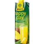 Happy Day DAY ananás 100% 1000 ml