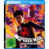 Spider-Man: Across the Spider-Verse