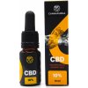 Cannapurna CBD olej | CBD kvapky 10% full spectrum (10 ml) príchuť - konopná Množství: 2 + 1 zdarma