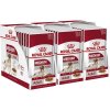 ROYAL CANIN Medium adult kapsička v šťave pre dospelé stredné psy 30 x 140 g