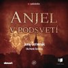 Audiokniha - Anjel v podsvetí (Barbarič a Stein 7) (Juraj Červenák)