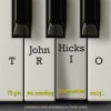 I'll Give You Something to Remember Me By (John Hicks Trio) (Vinyl / 12