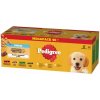 Pedigree Junior zmiešaný výber s ryžou v želé 40 x 100 g