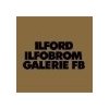 18x24/ 100 FB IG3.1K Ilfobrom Galerie čiernobiely papier, ILFORD