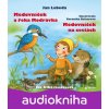 Medovníček a řeka Modrávka + Medovníček na cestách - Jan Lebeda