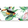 Foto obraz akrylový na stenu Tropické vtáky 100x50 cm