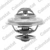 Termostat, chladivo CALORSTAT BY VERNET TH5111.80J