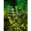 Příhody při shazování kůží (Dylan Thomas)
