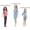 Barbie Dreamhouse Adventures