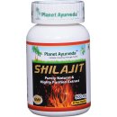 Abnoba Planet Ayurveda Shilajit MUMIO 60 kapsúl